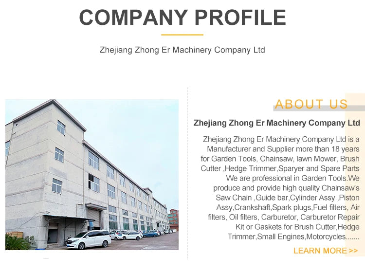 Professional Manufacture 5800 Gasoline Chainsaw 2 Stroke