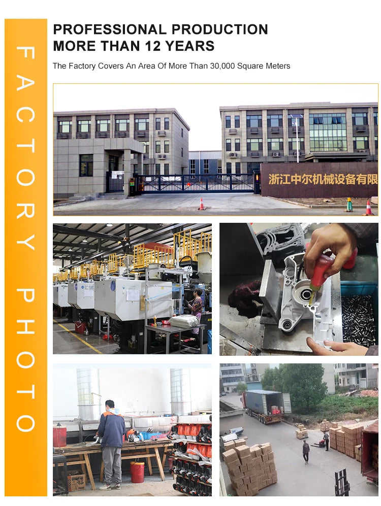 Professional Manufacture 5800 Gasoline Chainsaw 2 Stroke