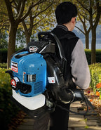 4-stroke Backpack BBX9900 Petrol Blower Leaf Blower