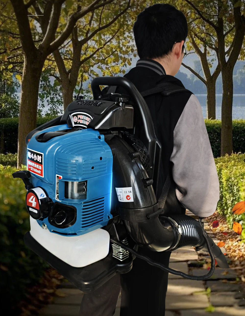 4-stroke Backpack BBX9900 Petrol Blower Leaf Blower