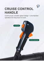 4-stroke Backpack BBX9900 Petrol Blower Leaf Blower