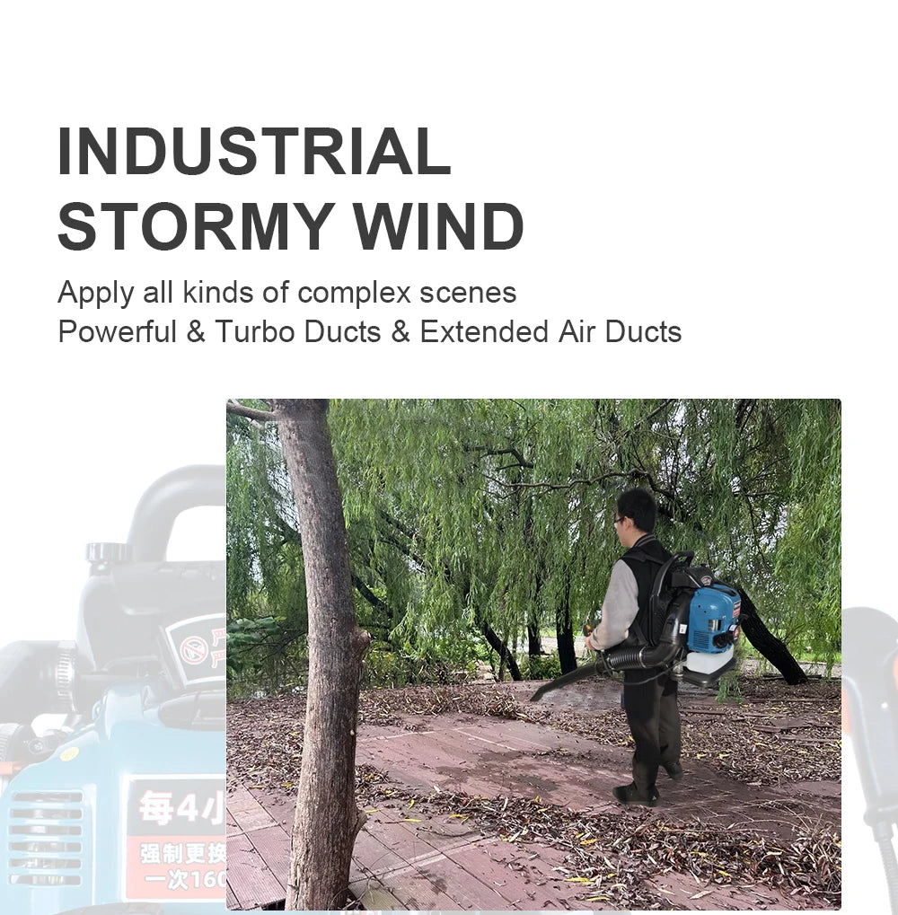 4-stroke Backpack BBX9900 Petrol Blower Leaf Blower