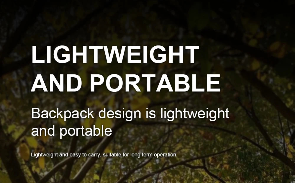 4-stroke Backpack BBX9900 Petrol Blower Leaf Blower