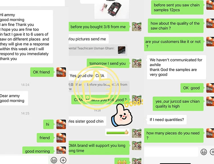 Professional Manufacture 5800 Gasoline Chainsaw 2 Stroke