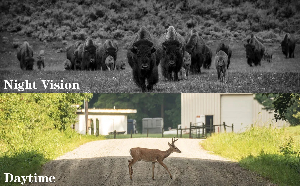 SuntekCam 4G HD Camera 36MP