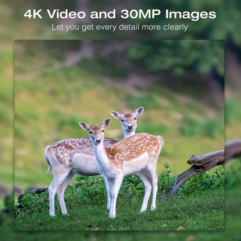 Hunting Camera  4K  WiFi Solar Panel